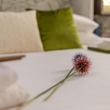 Green Terrace Loft Colosseum Ρώμη Εξωτερικό φωτογραφία